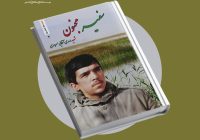 معرفی کتاب سفیر مجنون